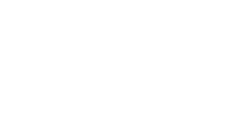 Logo Garmin