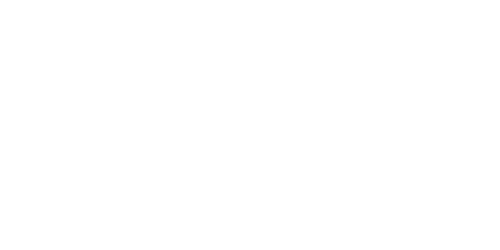 Logo Metzeler